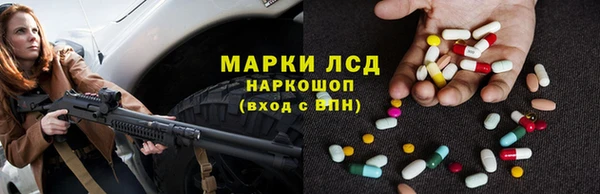 гидра Новозыбков