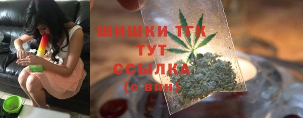 гидра Новозыбков