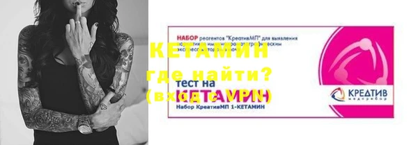 гидра Новозыбков